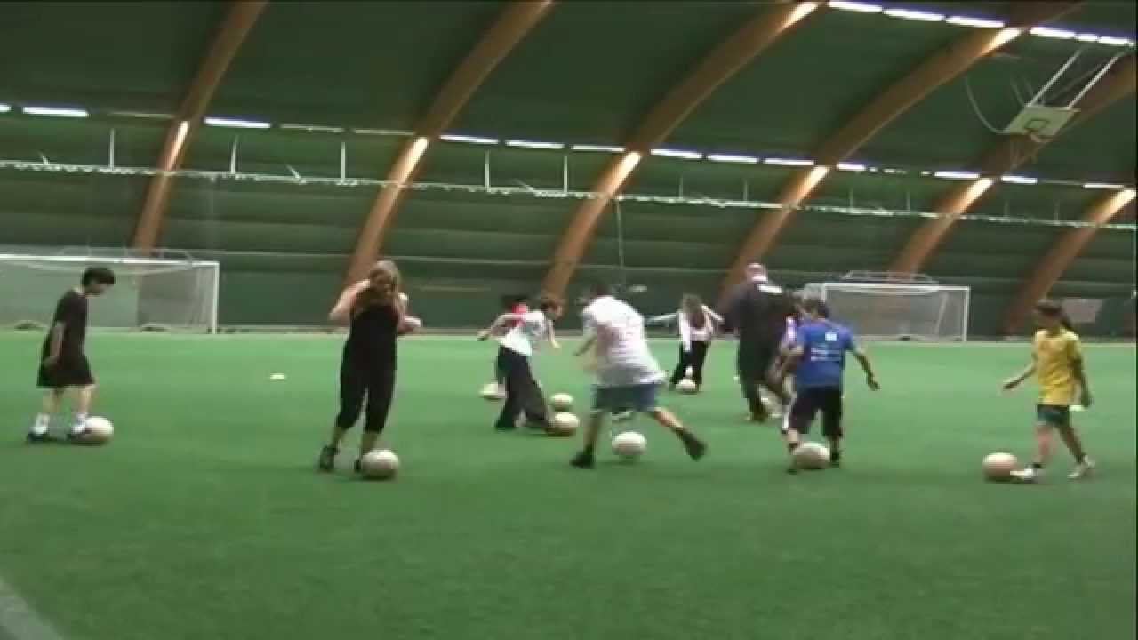 Projekt Stenkula 2008