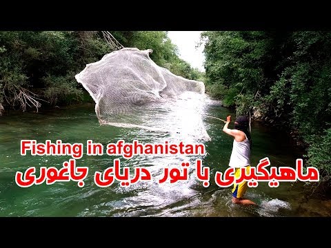 تصویری: توری دریایی