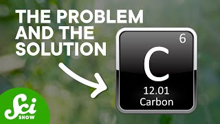 Fighting Carbon With Carbon
