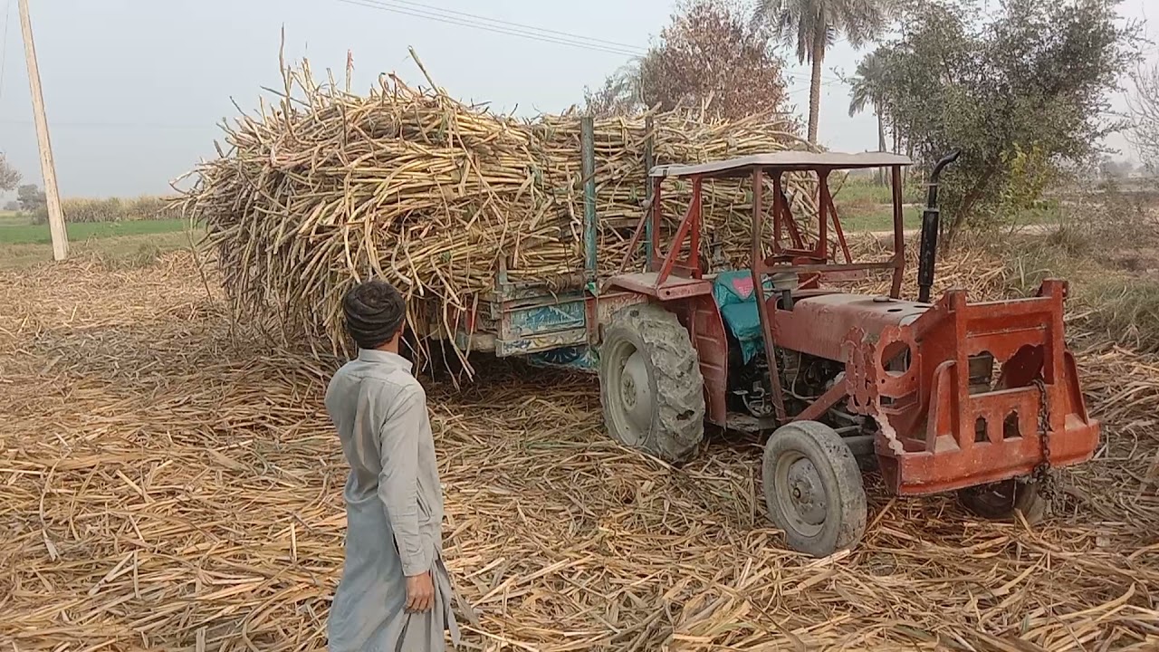 MF 240 model 1984 Heavy Duty