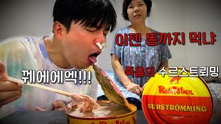 조재원 죽음의 ASMR 50탄 지옥에서 온 괴식 [수르 스트뢰밍] With. surströmming