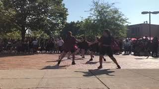 LTA NU Chapter Meet the Greeks Fall 2019