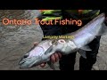 🎣Float Fishing, Rainbow trout/Lamprey bites. Where to catch Trout.