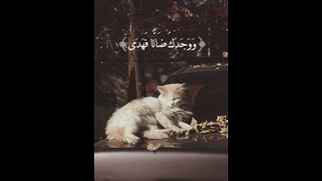 والضحى والليل إذا سجى | سورة الضحى - فيديو قرآن مصمم - كروم قرآن