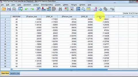SPSS: Descriptive Statistics