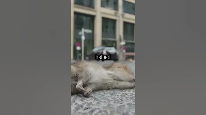 7 Shocking Facts About The Great Fire of London 1666 - Part 1