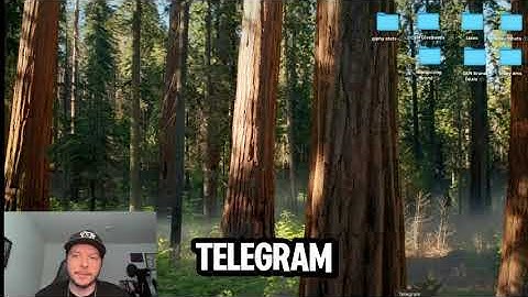 HOW TO VERIFY HEDGE WALLET OFFICIAL TOKEN ON SKELETON TRENDING BOT (TELEGRAM)