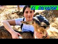 Comprando leche de cabras en El Salvador