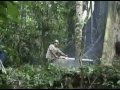 El maderero - El Cacique del Menkoremon