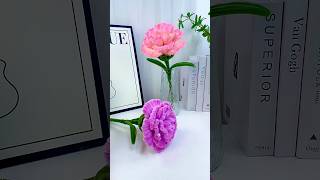 Carnations Flower Diy For Mothers Day