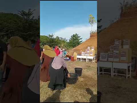 Games Tekanan Kehidupan.