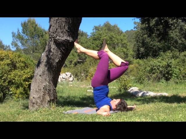 Yoga Somatics in Nature - Exploring with a Tree, Emma Stålvik