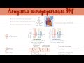 Научись читать ЭКГ за 14 минут!!! Простой алгоритм интерпретации ЭКГ