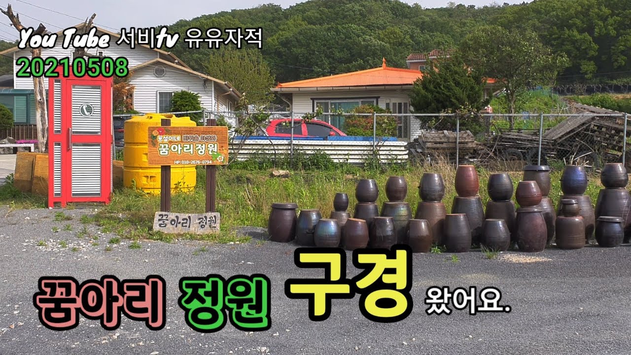 [210508] 꿈아리정원 용설이네 바위솔 구경왔어요.