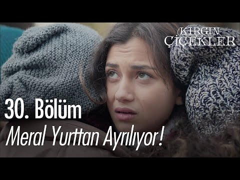 Meral yurttan ayrılıyor! - Kırgın Çiçekler 30. Bölüm