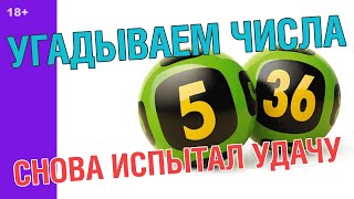 КУПИЛ 4 БИЛЕТА 5 ИЗ 36 / ДЖЕКПОТ СТОЛОТО