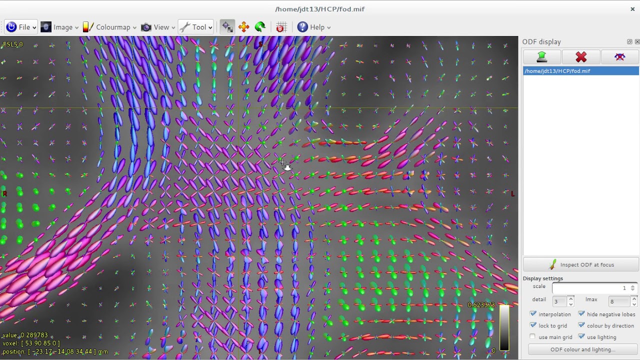Fibre orientation distributions in the HCP example data - YouTube