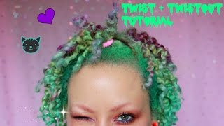 3B/3C NATURAL HAIR TWO-STRAND TWIST + TWISTOUT | TUTORIAL