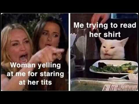 woman-yelling-at-cat-meme-compilation---know-your-meme
