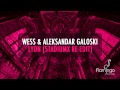 Wess & Aleksandar Galoski - Lyon (Stadiumx Re-Edit) [Flamingo Recordings]