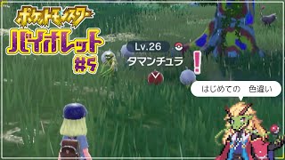 ポケットモンスター バイオレット #5【実況プレイ】
