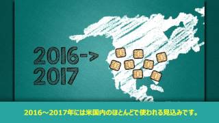 Increase security and reduce fraud with EMV chip and PCI- Japanese Subtitles