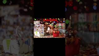 Guinea pig birthday!🥰 #shorts #birthday #cute #tiktok