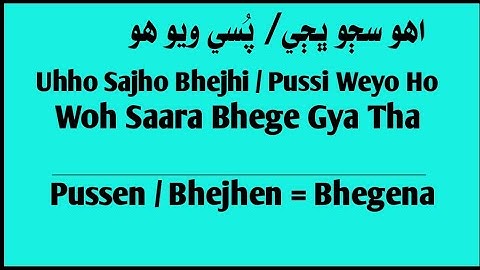 Learn Sindhi Language Through Urdu Hindi ||Sindhi to Urdu|| Sentence