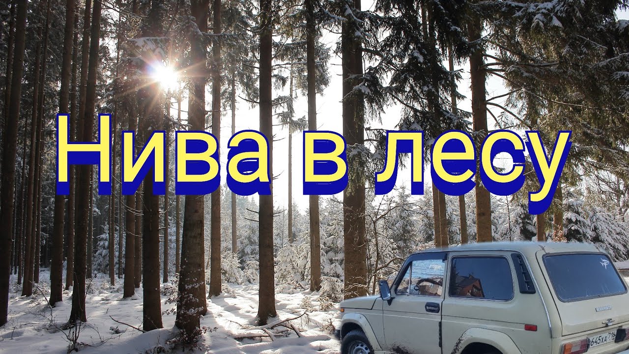 Нива в лесу - YouTube