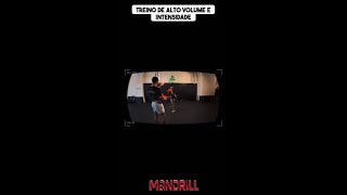 O segredo para um treino de alta performance revelado! 💪