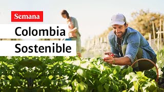 ¿Cómo hacer de Colombia un país más sostenible?