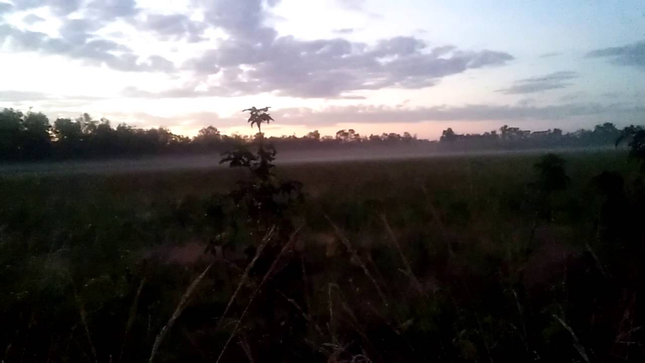 Texas Land.Owner Finance 