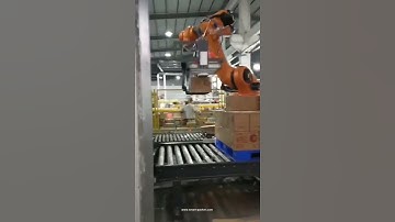Robot hand heavy loading ability palletizing machine carton box palletizer equipment