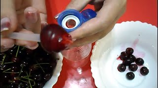 How to remove a STONE from CHERRY [5 ways] QUICK with improvised means # 185