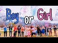 We're having a WHAT!? | Gender Reveal | Vlog #24