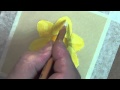 Daffodil Speed Painting in Pastel Pencils