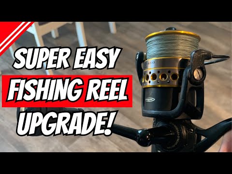 DO THIS to your fishing reel! 