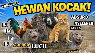 HEWAN kocak pada kumpul semua‼️Lucu bikin ngakak😂 #Kompilasi #shortsfeed #comedy #animals #fyp
