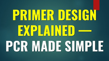 Primer design EXPLAINED: PCR made SIMPLE