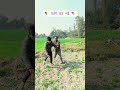 🪁 पतंग कट गई 😂😂 #video #comedy