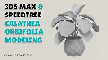 3ds max & speedtree calathea orbifolia modeling ǀ Part I