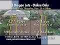 Commercial and Residential Lots at Auction