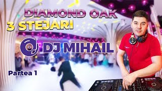 Nunta la 3 Stejari - Dj Mihail Brasov - Partea 1 - Dance, Oldies