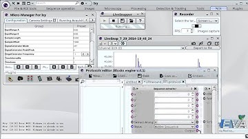 EVA  Real-time Ultrasonic Signal Processing