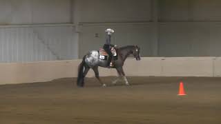 2019 06 02 Izzys Green Western Riding