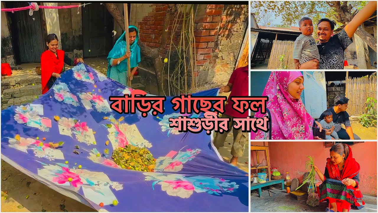 বাড়ির গাছের ফল শাশুড়ির সঙ্গে বাবুর বাবা কি করলো আজ!🔥#dailyvideo 