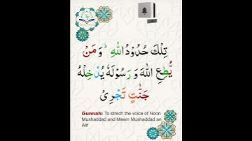 Learn Tajweed of Surah An-Nisa Ayat 13 | تعلم التجويد - سورة النساء آية   | Tajweed Rules + Practice