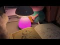 Touch Swich LED Mushroom lamp