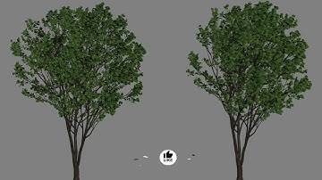 Growfx wind variation test