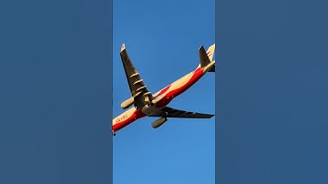 Digital Zoom vs Optical Zoom: What